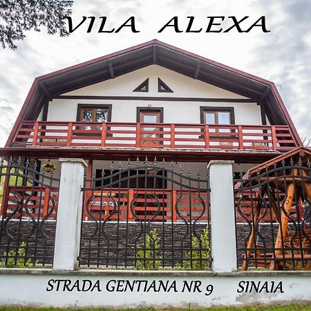 Villa Casa Alexa Sinaia Exterior foto